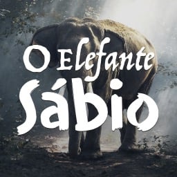 O Elefante Sábio